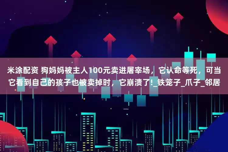 米涂配资 狗妈妈被主人100元卖进屠宰场，它认命等死，可当它看到自己的孩子也被卖掉时，它崩溃了!_铁笼子_爪子_邻居